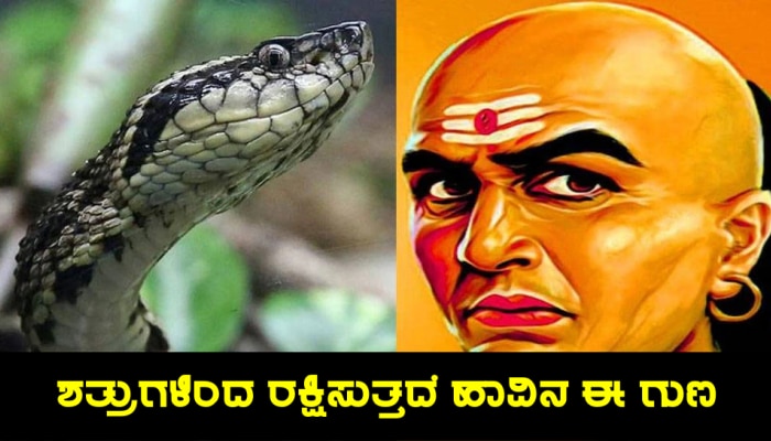 Chanakya Niti: ಹಾವಿನ ಈ ಒಂದು ಗುಣ ಅರಿತುಕೊಂಡರೆ ಸಾಕು, ನಿಮ್ಮನ್ನು ಕಂಡು ಎದುರಾಳಿಗಳು ಗಡಗಡ ನಡುಗುತ್ತಾರೆ