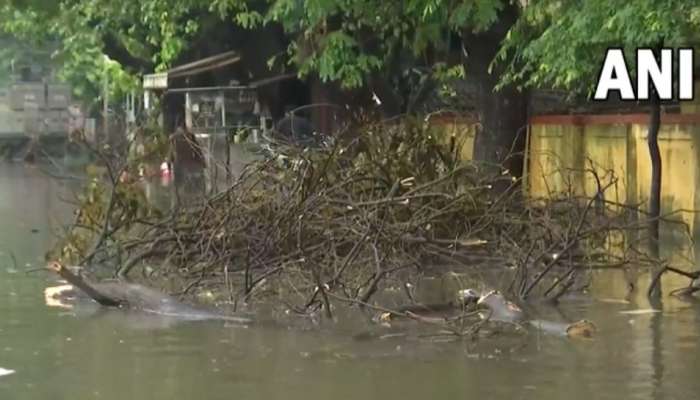 Tamilnadu Rain: ಚೆನ್ನೈನಲ್ಲಿ 30 ವರ್ಷಗಳ ದಾಖಲೆ ಮುರಿದ ಮಳೆ title=