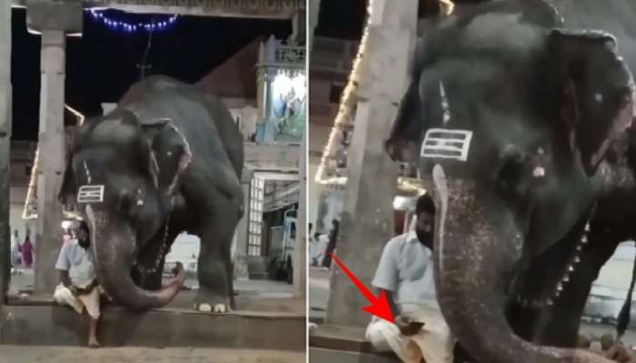 Elephant watching mobile phone with mahout video viral | ಮಾವುತನ ಪಕ್ಕ ಕುಳಿತು  ಮೊಬೈಲ್ ನೋಡುವ ಆನೆ! ವಿಡಿಯೋ ಸಿಕ್ಕಾಪಟ್ಟೆ ವೈರಲ್‌ Viral News in Kannada