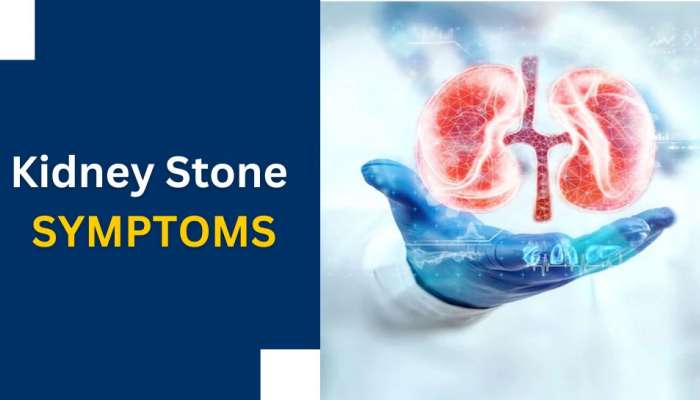 Kidney stone symptoms: ಮೂತ್ರಪಿಂಡದಲ್ಲಿ ಕಲ್ಲಿದ್ದಾಗ ದೇಹ ನೀಡುತ್ತೆ ಈ ರೀತಿಯ ಸಂಕೇತ 