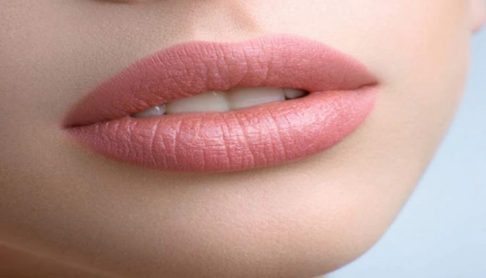 Lips Care Tips : ಚಳಿಗಾಲದಲ್ಲಿ ತುಟಿಗಳ ರಕ್ಷಣೆಗೆ ಈ ಮನೆಮದ್ದುಗಳನ್ನು ಅನುಸರಿಸಿ! title=