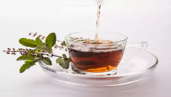 Basil Tea Benefits : ದೇಹ ತೂಕ ಕಡಿಮೆ ಮಾಡಿಕೊಳ್ಳಬೇಕೆ? ಹಾಗಿದ್ರೆ, ಈ ಚಹಾ ಸೇವಿಸಿ!