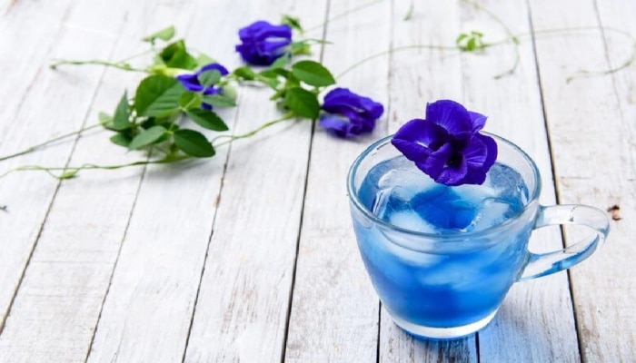 Blue Tea: ನೀವು ನೀಲಿ ಚಹಾ ಎಂದಾದರೂ ಸೇವಿಸಿದ್ದೀರಾ? ಸ್ವಾದ-ಆರೋಗ್ಯ ಎರಡಕ್ಕೂ ಬೆಸ್ಟ್  title=