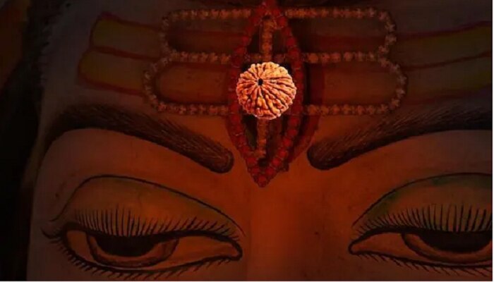 Rudraksha Benefit: ನವಗ್ರಹಗಳ ಅಶುಭ ಪ್ರಭಾವಗಳಿಂದ ರಕ್ಷಿಸುತ್ತದೆ ಈ ಅದ್ಭುತ ರುದ್ರಾಕ್ಷ title=