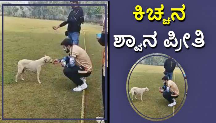 Kichcha Sudeep Dog Love: ಕಿಚ್ಚನ ಶ್ವಾನ ಪ್ರೀತಿ, ನೆಟ್ಟಿಗರ ಮನಗೆದ್ದ ಸುದೀಪ್‌   title=