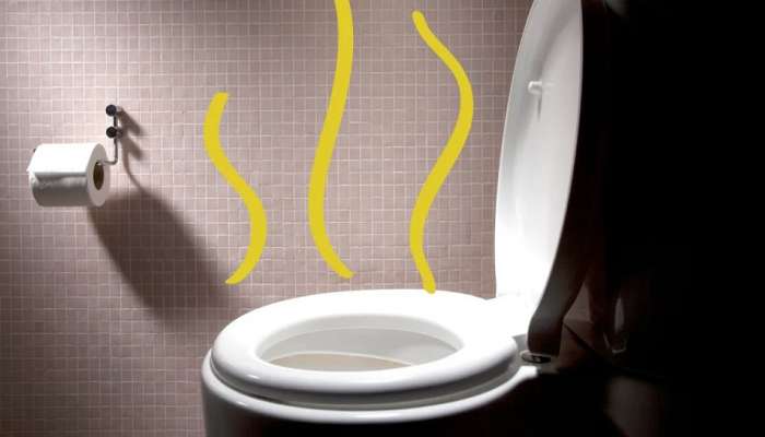 Bad Urine Smell: ಮೂತ್ರ ವಿಸರ್ಜನೆ ವೇಳೆ ಬರುವ ಕೆಟ್ಟ ವಾಸನೆ ಈ ಗಂಭೀರ ಕಾಯಿಲೆಗಳ ಮುನ್ಸೂಚನೆ! 