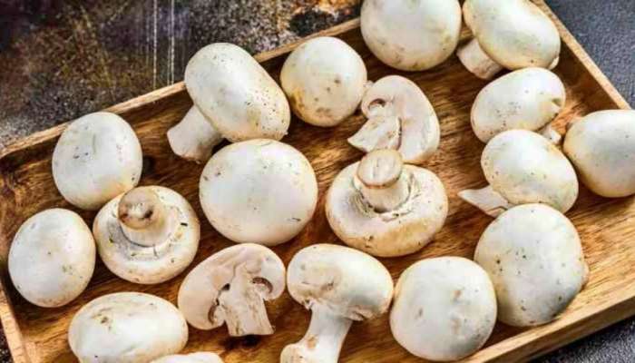 Mushroom benefits: ಅಣಬೆ ತಿನ್ನಿ ಈ 5 ಸಮಸ್ಯೆಗಳಿಗೆ ಗುಡ್‌ ಬೈ ಹೇಳಿ  title=