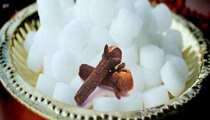 Vastu Tips For Camphor: ನಿಮ್ಮ ಹಲವು ಸಮಸ್ಯೆಗಳಿಗೆ ಶೀಘ್ರದಲ್ಲೇ ಪರಿಹಾರ ನೀಡುತ್ತದೆ ಕರ್ಪೂರದ ಸಣ್ಣ ತುಂಡು 