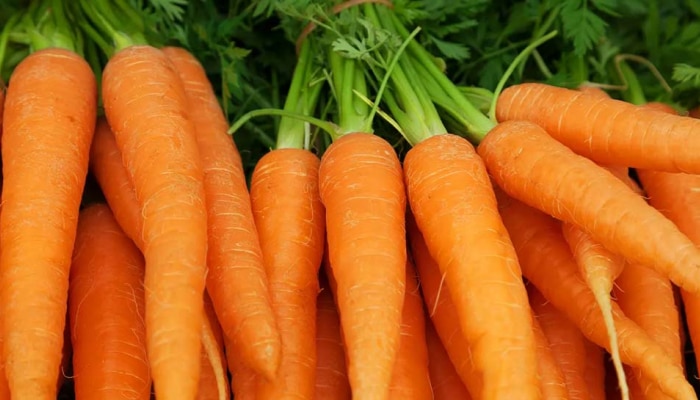 Carrot Health Benefits: ಚಳಿಗಾಲದಲ್ಲಿ ಕ್ಯಾರೆಟ್ ಸೇವಿಸುವುದರಿಂದ ಅಗಾಧ ಪ್ರಯೋಜನಗಳು title=