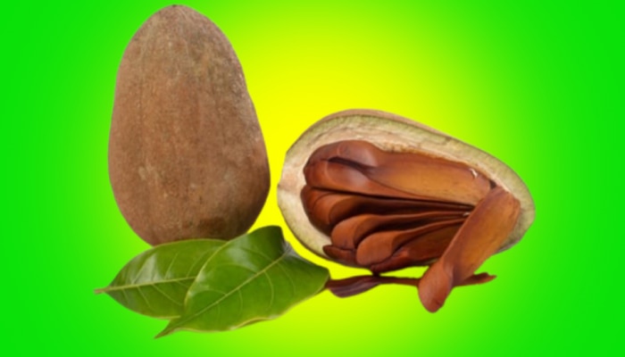 Sugar Almond: ರುಚಿಯಲ್ಲಿ ಕಹಿಯಾಗಿದ್ದರೂ, ಮಧುಮೇಹ-ಕೊಲೆಸ್ಟ್ರಾಲ್ ನಿಯಂತ್ರಿಸುತ್ತದೆ ಈ ಶುಗರ್ ಬಾದಾಮ್ title=