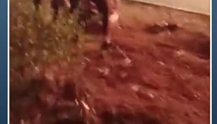 rishabh pant car accident cctv footage goesviral