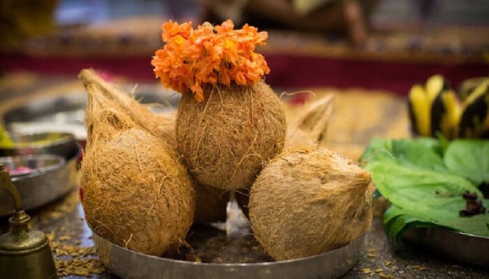 Importance Of Coconut: ನೀವು ಮಾಡುವ ಈ ಸಣ್ಣ ಉಪಾಯದಿಂದ ನಿಮ್ಮ ಮನೆ ಧನ-ಧಾನ್ಯದಿಂದ ತುಂಬಿ ತುಳುಕುತ್ತದೆ