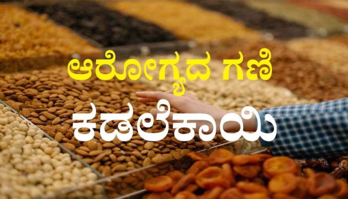 Peanuts Benefits: ಗೋಡಂಬಿ-ಬಾದಾಮಿ ತಿಂದಷ್ಟೇ ಪ್ರಯೋಜನ ನೀಡುತ್ತೆ ಕಡಲೆಬೀಜ 