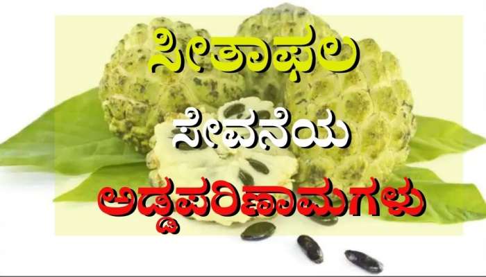 Custard Apple Harmful Effects Zee News Kannada custard-apple-harmful-effects-zee-news-kannada