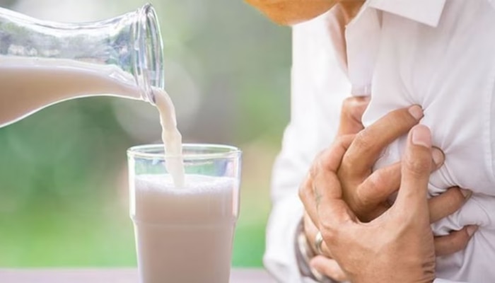 Milk In Cholesterol: ಹೃದ್ರೋಗಿಗಳು ಈ ಪ್ರಾಣಿಯ ಹಾಲನ್ನು ಸೇವಿಸಬೇಕಂತೆ, ಕೊಲೆಸ್ಟ್ರಾಲ್ ನಿಯಂತ್ರಣದಲ್ಲಿರುತ್ತಂತೆ