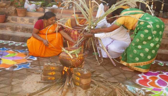Sankranti 2023: ಮನೆಯಲ್ಲಿ ಅದೃಷ್ಟ ನೆಲೆಸಲು ಮಕರ ಸಂಕ್ರಾಂತಿಯ ಈ ಸಂದರ್ಭದಲ್ಲಿ ಪೊಂಗಲ್ ತಯಾರಿಸಿ