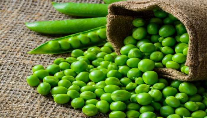 Green peas Side Effects: ಈ ಜನರು ಅಪ್ಪಿತಪ್ಪಿಯೂ ಬಟಾಣಿ ತಿನ್ನಬಾರದು: ಆರೋಗ್ಯದಲ್ಲಿ ಗಂಭೀರ ಸಮಸ್ಯೆ ಕಾಣಿಸಿಕೊಳ್ಳುತ್ತದೆ