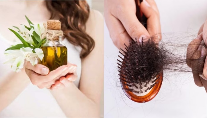 Hair Fall Control Solution : ನಿಮಗೆ ಪಿಸಿಒಡಿಯಿಂದ ಕೂದಲುದುರುವ ಸಮಸ್ಯೆಯೇ? ಹಾಗಿದ್ರೆ, ಈ ಹರ್ಬಲ್ ಆಯಿಲ್ ಬಳಸಿ!