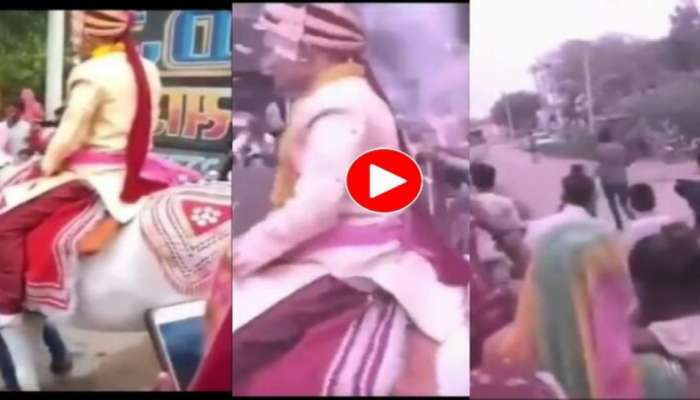 Viral Video : ಮೆರವಣಿಗೆಗೂ ಮುನ್ನವೇ ವರನನ್ನು ಹೊತ್ತು ಓಡಿ ಹೋದ ಕುದುರೆ! ಮುಂದೇನಾಯ್ತು ನೋಡಿ 