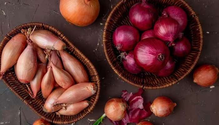 Onion Benefits : ದಿನಕ್ಕೆ ಒಂದು ಹಸಿ ಈರುಳ್ಳಿ ತಿನ್ನಿ ಸಾಕು, ಈ ಕಾಯಿಲೆ ಬುಡಸಮೇತ ನಿವಾರಣೆಯಾಗುತ್ತೆ.! title=