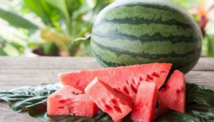 Watermelon Health Benefits: ಕಲ್ಲಂಗಡಿ ಹಣ್ಣಿನ ಆರೋಗ್ಯಕರ ಪ್ರಯೋಜನಗಳನ್ನು ತಿಳಿಯಿರಿ