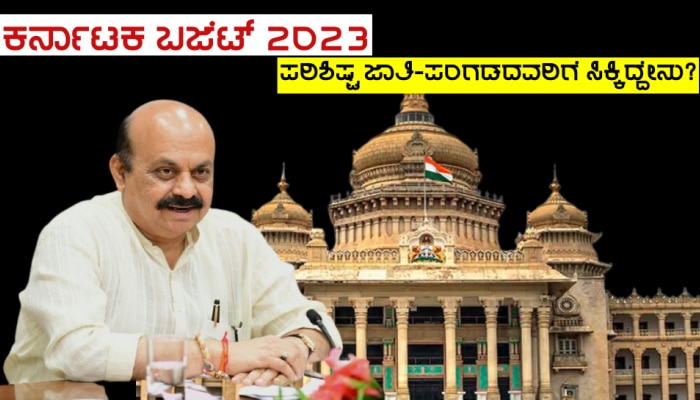 Karnataka Budget 2023: ಈ ಬಾರಿಯ ಬಜೆಟ್ ನಲ್ಲಿ ಪರಿಶಿಷ್ಟ ಜಾತಿ-ಪಂಗಡದವರಿಗೆ ಸಿಕ್ಕಿದ್ದೇನು?
