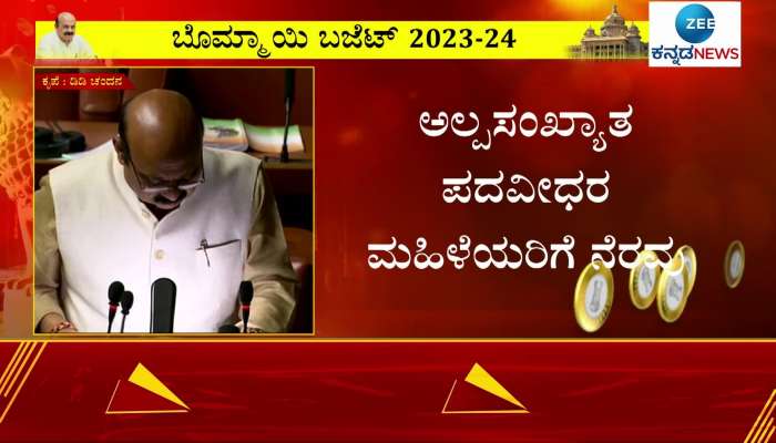 Karnataka Budget 2023: Govt help to get good job