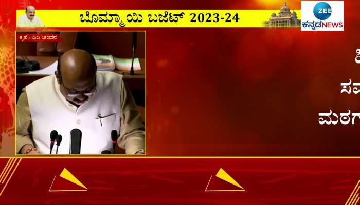 Karnataka Budget 2023: Grants to Backward Community Mutts