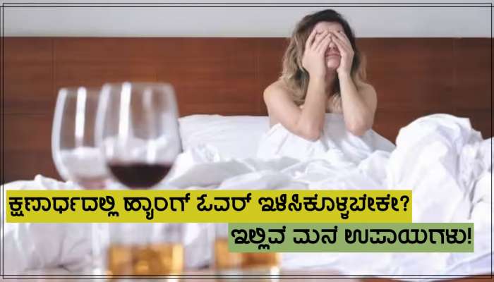 Home Remedy For Hangover: ಕ್ಷಣಾರ್ಧದಲ್ಲಿ ಹ್ಯಾಂಗೋವರ್ ಇಳಿಸಬೇಕೇ... ಇಲ್ಲಿವೆ ಮನೆ ಉಪಾಯ!