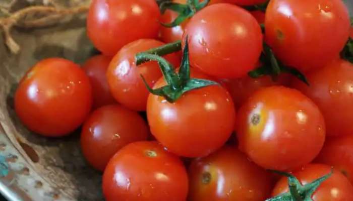 Tomato Side Effects: ಟೊಮೆಟೊ ಅತಿಯಾದ ಸೇವನೆಯೇ ಈ ದೊಡ್ಡ ಕಾಯಿಲೆಗೆ ಕಾರಣ.! title=