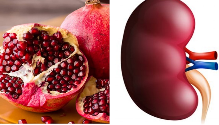 Pomegranate : ಕಿಡ್ನಿ ಆರೋಗ್ಯಕ್ಕೆ ಪ್ರತಿನಿತ್ಯ ಖಾಲಿ ಹೊಟ್ಟೆಯಲ್ಲಿ ಸೇವಿಸಿ ದಾಳಿಂಬೆ ಹಣ್ಣು..!  title=