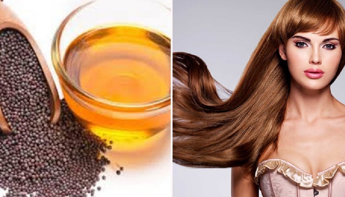 Kannada Health Tips hair care tips musard oil benefits for hair | ಕೂದಲಿನ  ಎಲ್ಲ ಸಮಸ್ಯೆಗಳಿಗೆ ಪ್ರತಿನಿತ್ಯ ಬಳಸಿ ಸಾಸಿವೆ ಎಣ್ಣೆ! Health News in Kannada