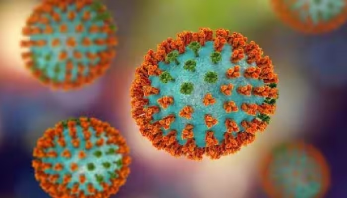 ಅಪಾಯಕಾರಿ ವೈರಸ್‌: H3N2 ನಂತರ ಭಾರತದಲ್ಲಿ ವಿನಾಶ ಉಂಟುಮಾಡುತ್ತಿರುವ ಇನ್‌ಫ್ಲೂಯೆಂಜಾ B!  