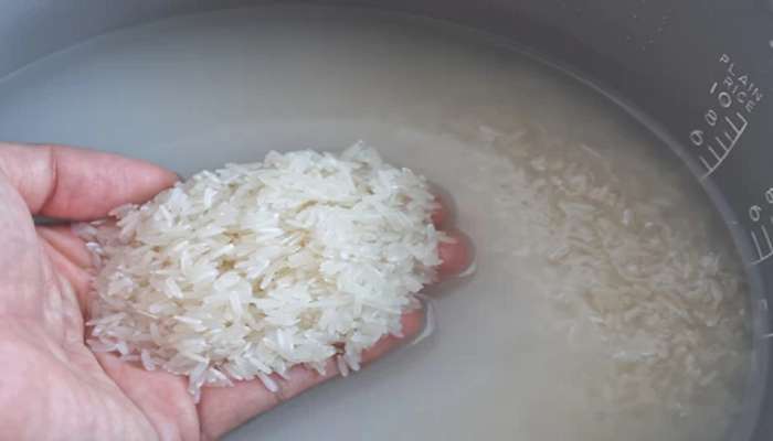 Rice Water Benefits: ಅಕ್ಕಿ ತೊಳೆದ ನೀರನ್ನು ಎಂದಿಗೂ ಚೆಲ್ಲಬೇಡಿ: ಇದರಲ್ಲಿದೆ ಈ ರೋಗವನ್ನು ಬುಡಸಮೇತ ಕಿತ್ತುಹಾಕುವ ಗುಣ