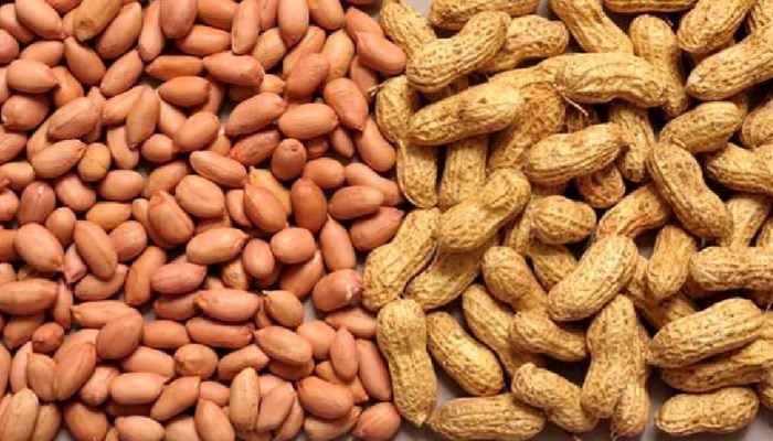 Health Benefits of Peanuts: ಶೇಂಗಾದ ಅದ್ಭುತ ಆರೋಗ್ಯ ಪ್ರಯೋಜನಗಳು