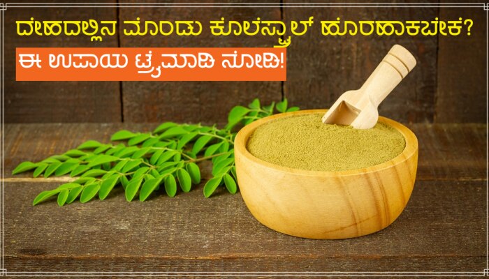 ರಕ್ತ ನಾಳಗಳಲ್ಲಿನ ಮೊಂಡು ಕೊಲೆಸ್ಟ್ರಾಲ್ ಕಿತ್ತೆಸೇಯಬೇಕೆ? ಈ ಉಪಾಯ ಟ್ರೈ ಮಾಡಿ ನೋಡಿ