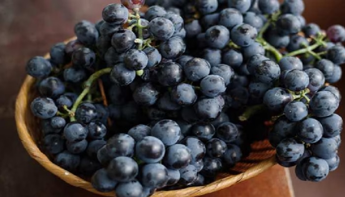 Black Grapes Health Benefits: ಕಪ್ಪು ದ್ರಾಕ್ಷಿಯ ಆರೋಗ್ಯ ಪ್ರಯೋಜನಗಳು