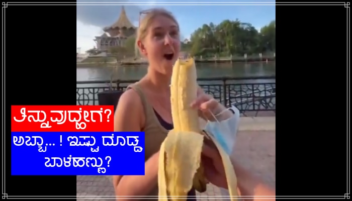 Viral Video: ಎಪ್ಪೋ... ! 3 ಕೆಜಿ ತೂಕದ ಒಂದು ಬಾಳೆಹಣ್ಣು, ನೀವೆಂದಾದರೂ ನೋಡಿದ್ದೀರಾ ಅಥವಾ ಕೇಳಿದ್ದೀರಾ? ವಿಡಿಯೋ ನೋಡಿ..  title=