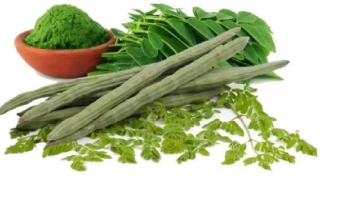 Moringa Leaves Health Benefits: ನುಗ್ಗೆ ಸೊಪ್ಪಿನ ಅದ್ಭುತ ಆರೋಗ್ಯ ಪ್ರಯೋಜನಗಳು 
