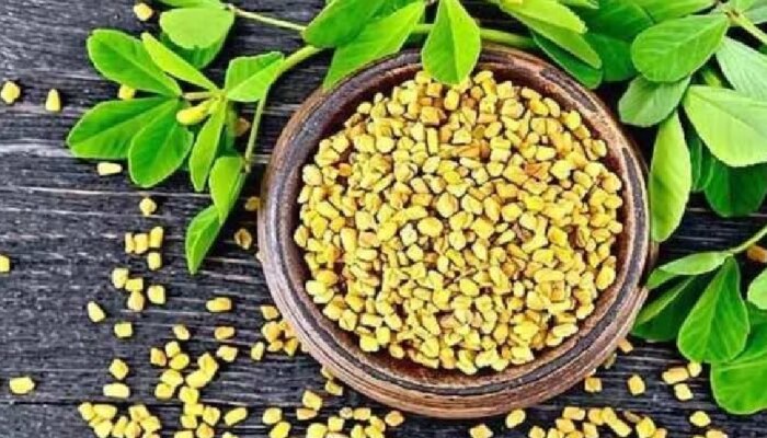 Health Benefits Of Fenugreek: ಮೆಂತೆ ಸೇವನೆಯಿಂದ ಇಷ್ಟೆಲ್ಲಾ ಆರೋಗ್ಯ ಪ್ರಯೋಜನಗಳಿವೆ