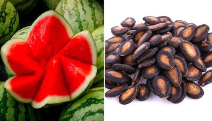 Watermelon Seeds Benefits: ಕಲ್ಲಂಗಡಿ ಬೀಜದ ಅದ್ಭುತ ಆರೋಗ್ಯ ಪ್ರಯೋಜನಗಳು