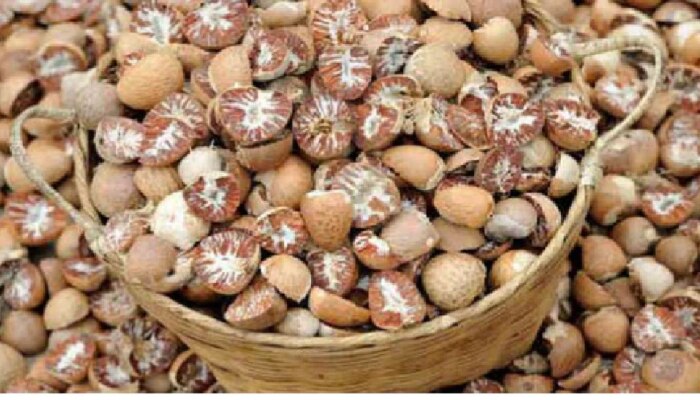 Arecanut today price: ರಾಜ್ಯದ ಮಾರುಕಟ್ಟೆಯಲ್ಲಿ ಅಡಿಕೆ ಧಾರಣೆ ಭರ್ಜರಿ ಏರಿಕೆ! title=