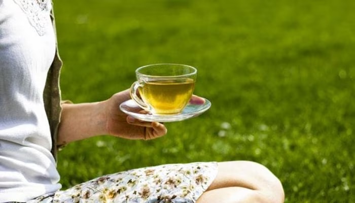 Organic Tea: ಕೆಜಿಗೆ ಒಂದು ಲಕ್ಷ ರೂಪಾಯಿಯಂತೆ ಮಾರಾಟವಾಗುತ್ತದೆ ಈ ಚಹಾ! title=
