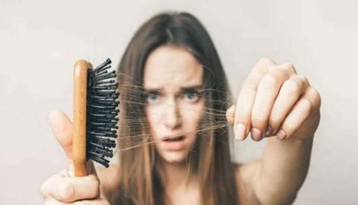 Hair Care Tips: ಬೇಸಿಗೆಯಲ್ಲಿ ಕೂದಲು ಉದುರುವ ಸಮಸ್ಯೆಗೆ ಶಾಶ್ವತ ಪರಿಹಾರ ಈ ಮನೆಮದ್ದು
