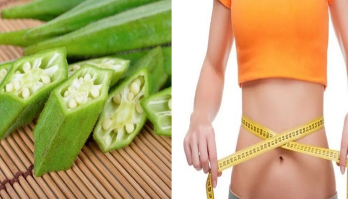 Lady Finger For Weight Loss: &#039;ಲೇಡೀಸ್ ಫಿಗರ್&#039; ನಿರ್ವಹಣೆಗೆ ಬಲು ಲಾಭಕಾರಿ ಈ &#039;ಲೇಡಿ ಫಿಂಗರ್&#039;!