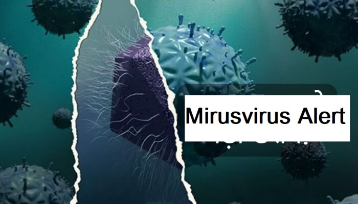 Mirusvirus Alert: ಜಗತ್ತಿನಲ್ಲಿ ವಿನಾಶ ಉಂಟುಮಾಡಲು ಬಂದಿದೆ ಹೊಸ ವೈರಸ್!   title=