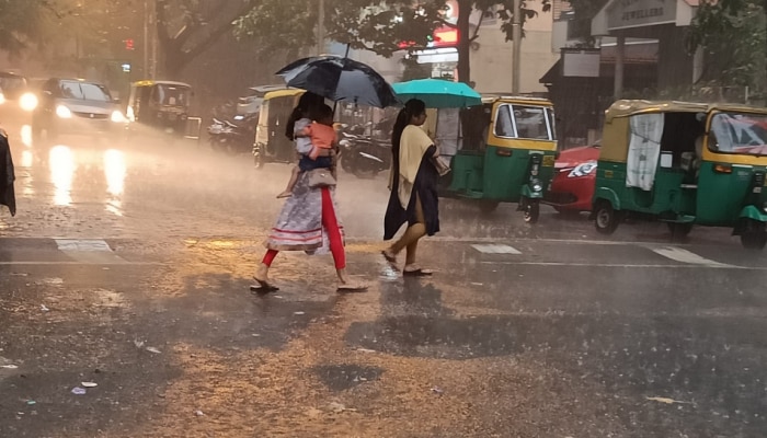Bengaluru Rains: ಬೆಂಗಳೂರಿನಲ್ಲಿ ಧಾರಾಕಾರ ಮಳೆ.. ಧರೆಗುರುಳಿದ ಮರಗಳು, ವಾಹನ ಸವಾರರ ಪರದಾಟ