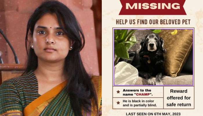 Ramya&#039;s Pet Dog Is Missing: ರಮ್ಯಾ ಮುದ್ದು ನಾಯಿ ಮಿಸಿಂಗ್‌ : ಹುಡ್ಕಿ ಕೊಡಿ ಎಂದ ಮೋಹಕ ತಾರೆ