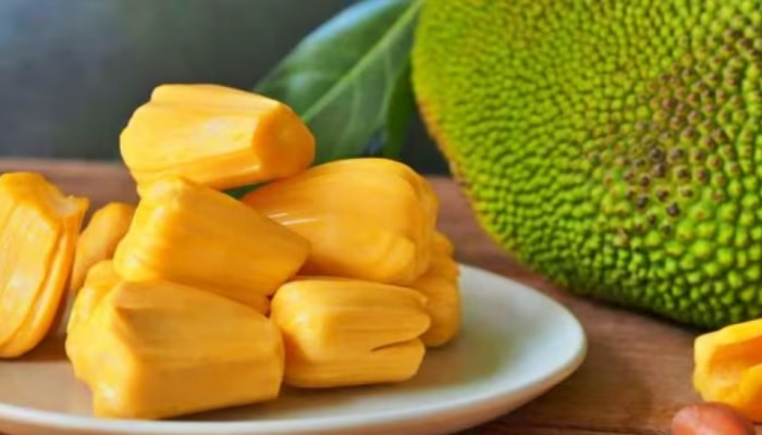 Jackfruit Benefits: ಹಲಸು ಕೇವಲ ರುಚಿ ಮಾತ್ರವಲ್ಲ, ಆರೋಗ್ಯದ ನಿಧಿ! ಈ ರೋಗಗಳನ್ನು ಬುಡಸಮೇತ ನಿವಾರಿಸುತ್ತೆ 