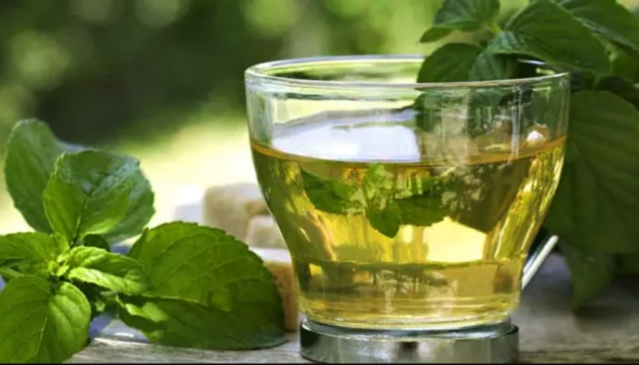 Green Tea Benefits : ಗ್ರೀನ್ ಟೀಯಲ್ಲಿ ಅಡಗಿದೆ  ಉತ್ತಮ ಪೋಷಕಾಂಶ.. ಇಂದಿನಿಂದಲೇ ಅಭ್ಯಾಸಿಸಿಕೊಳ್ಳಿ..!